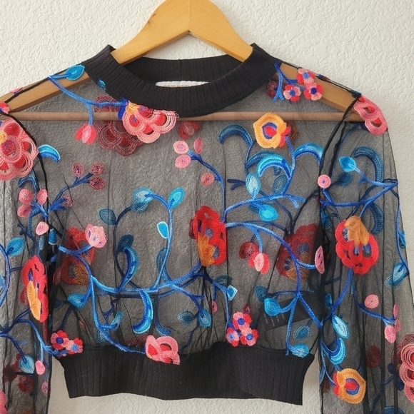 Dress the Population Cosmopolitan Embroidered Mesh Crop Top XS - Picture 4 of 9